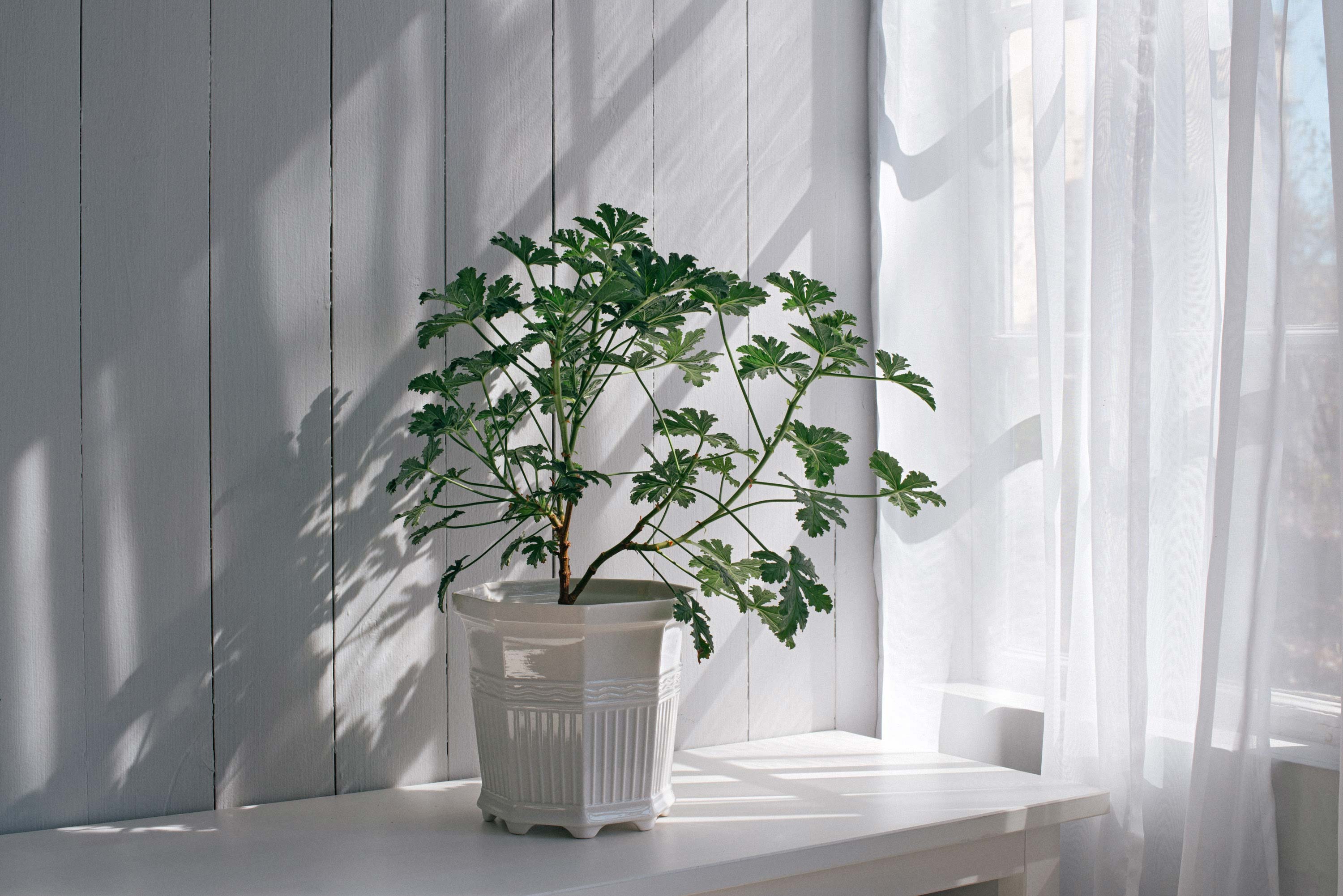 erik-hagman-Waldemarsudde-1705-07